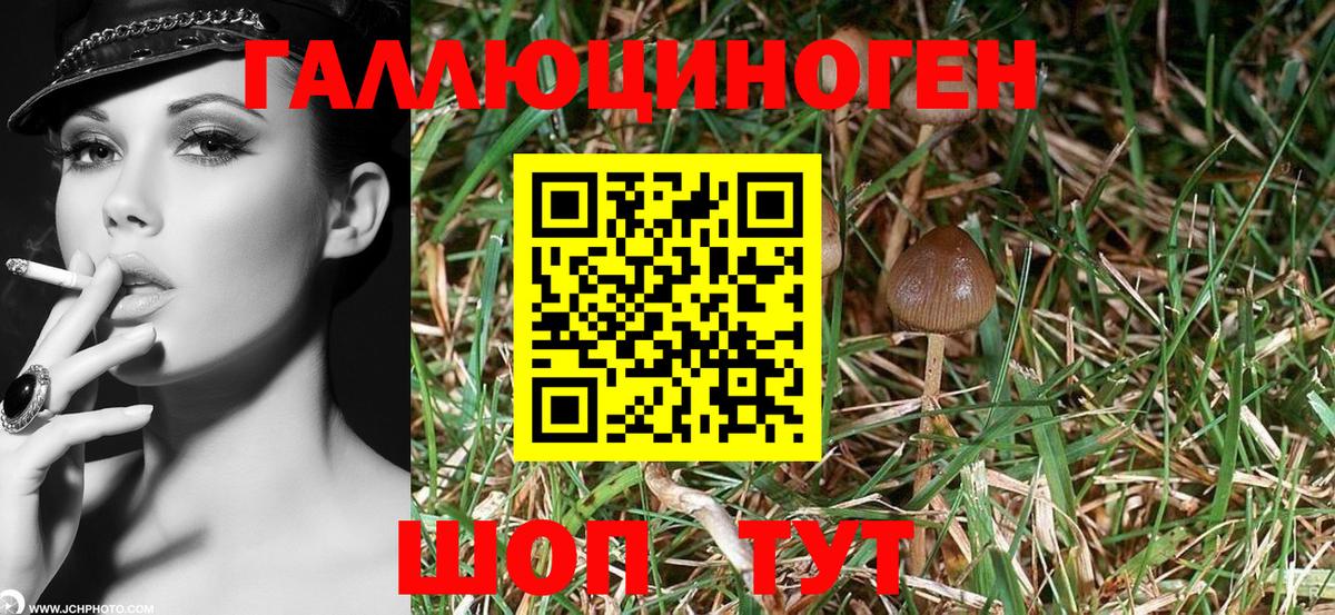 Галлюциногенные грибы MAGIC MUSHROOMS Великий Устюг